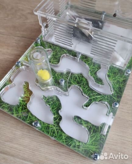 Муравьиная ферма (Формикарий) 24*16*6,5 см