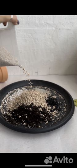 Готовый грунт для комнатных растений