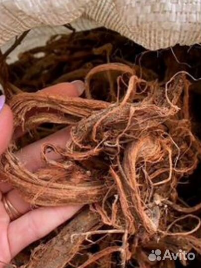 Крас.ный ко.рень 5оог