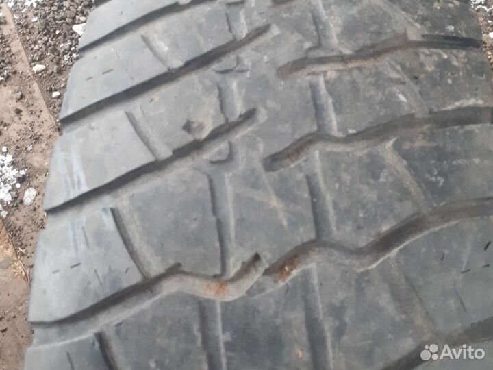 Продам колемо