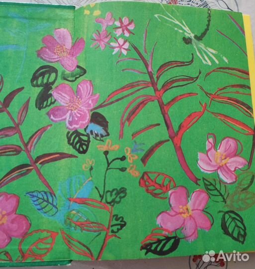 Книга. Анни Маннинен