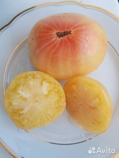 Семена коллекционных томатов