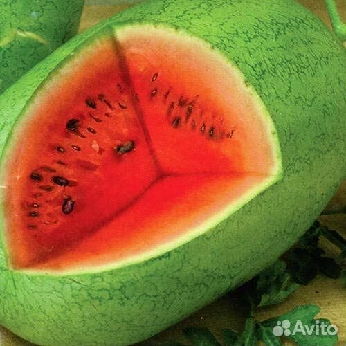 Семена арбуза