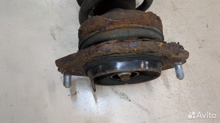 Амортизатор подвески Subaru Tribeca (B9), 2008