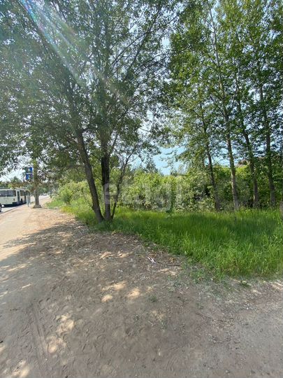 Участок 10 сот. (ИЖС)