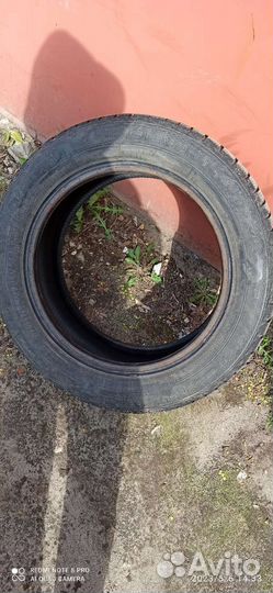 Goodyear EfficientGrip Performance 205/55 R16 91V