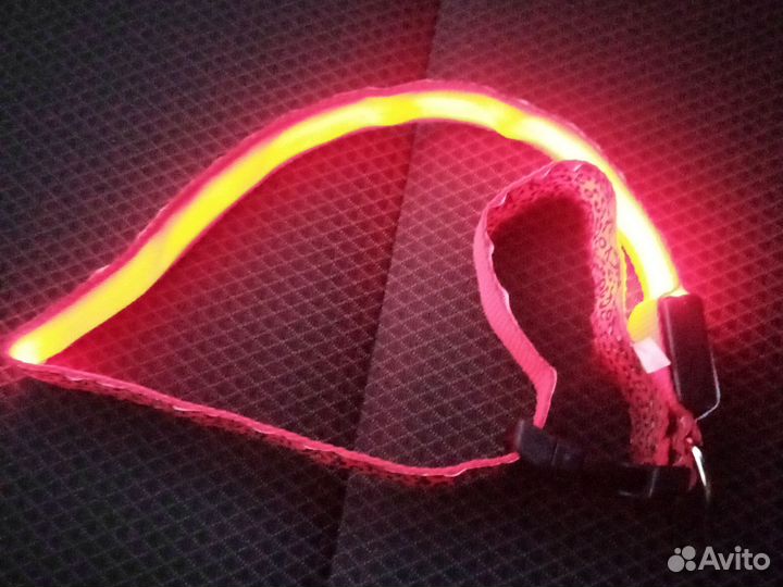 Светящийся ошейник для собак