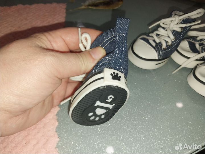 Кеды для собачки