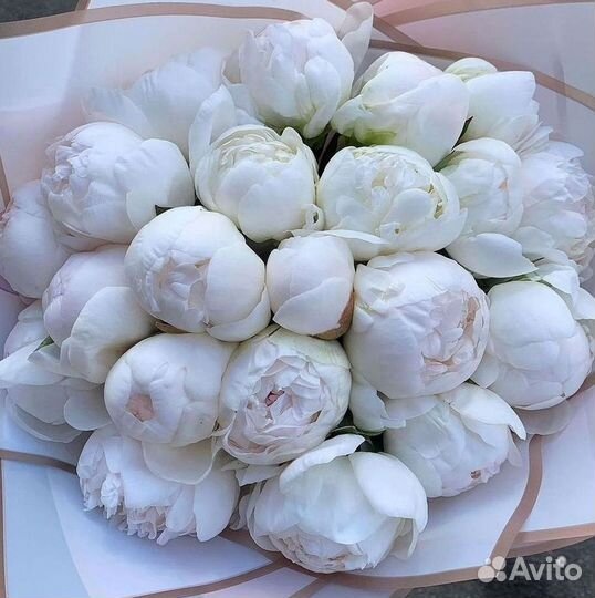 Пионы Цветы Доставка