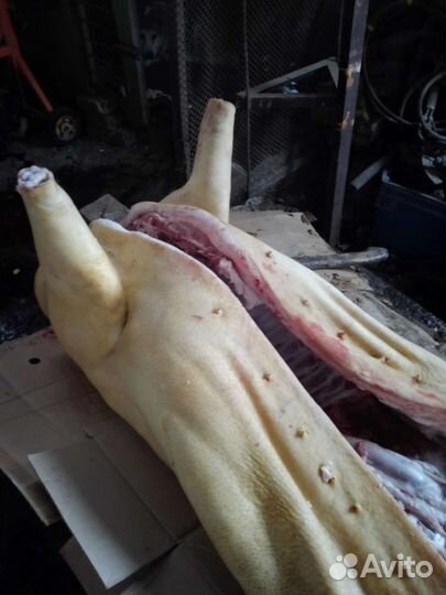 Мясо свинина и говядина домашняя