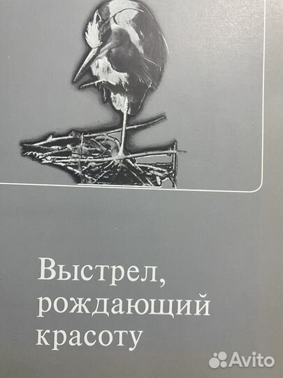 «Фотоохота» учебник для любителей