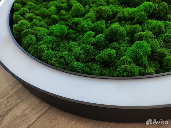 Люстра LED кольцевая потолочная со мхом Ягель