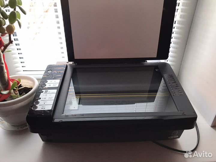 Мфу струйное Epson Stylus CX7300, цветн., A4