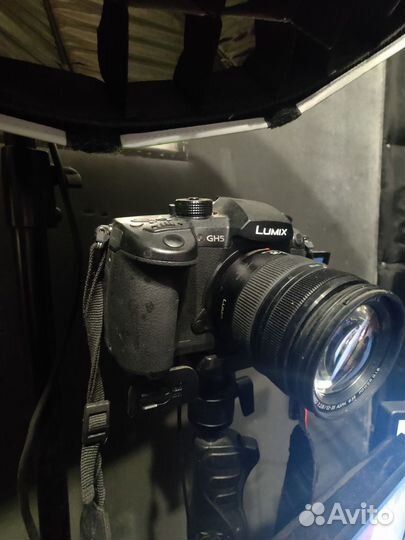 Зеркальный фотоаппарат panasonic gh5 body