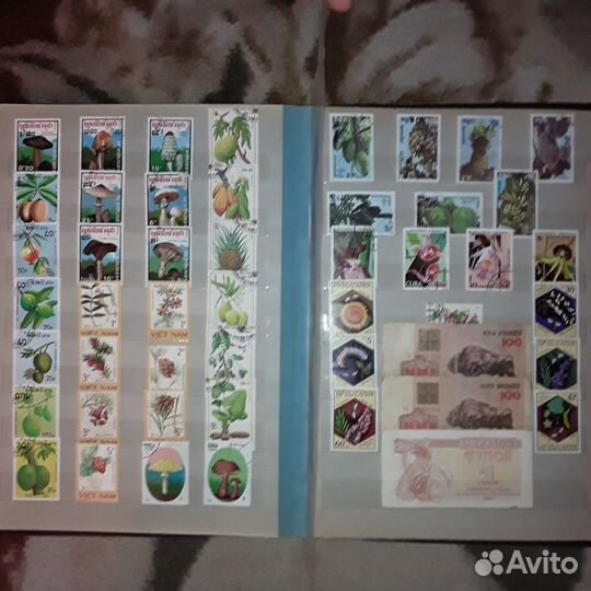 Марки коллекция на тему флора и фауна