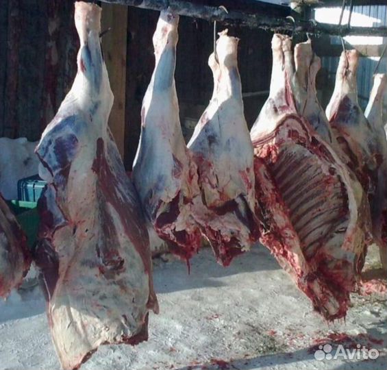 Говядина свинина