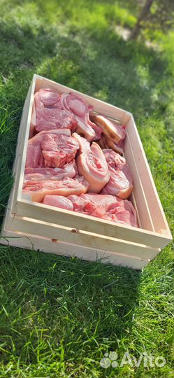 Мясо свинина на кости