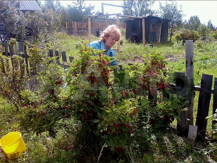 Дача 600 м² на участке 6 сот.