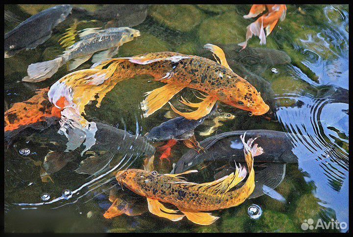 Картина маслом на холсте