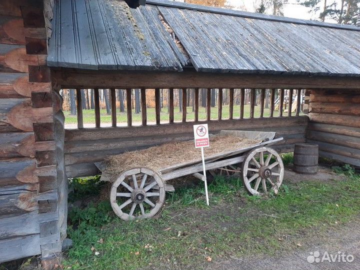 Санкт-Петербург Топ-Экскурсия Шедевры Русского Сев