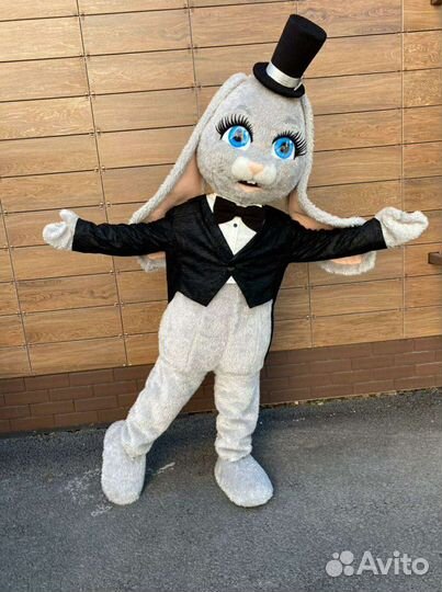 Аниматор-курьер