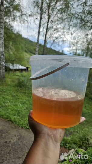 Алтайский Горный мед с дикоросов