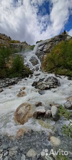 Авторский тур в Домбай - “Жемчужина Кавказа”