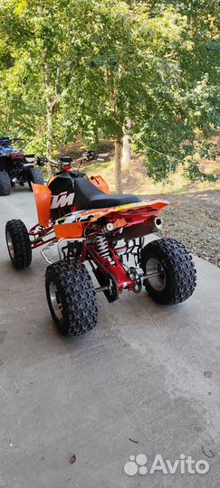 CF Moto Mad Max 300cc (speegear)