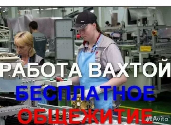 Требуется птицевод. Вахта с проживанием