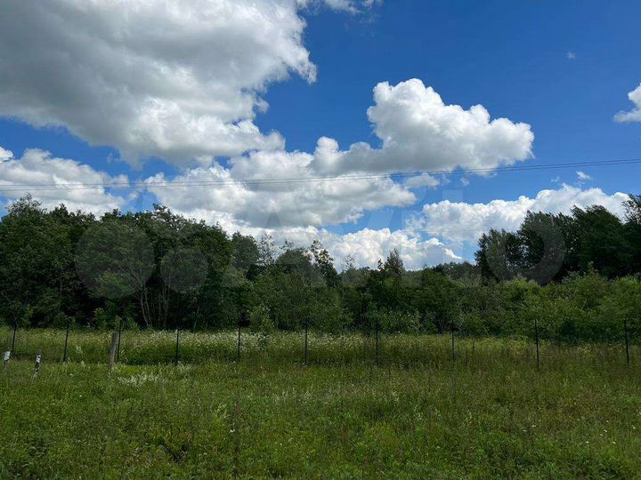 Участок 1,61 га (СНТ, ДНП)