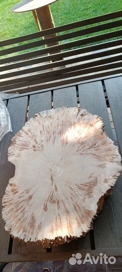 Слэб карагач