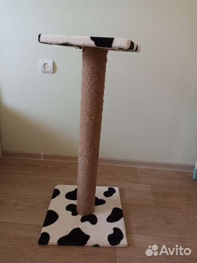 Когтеточка