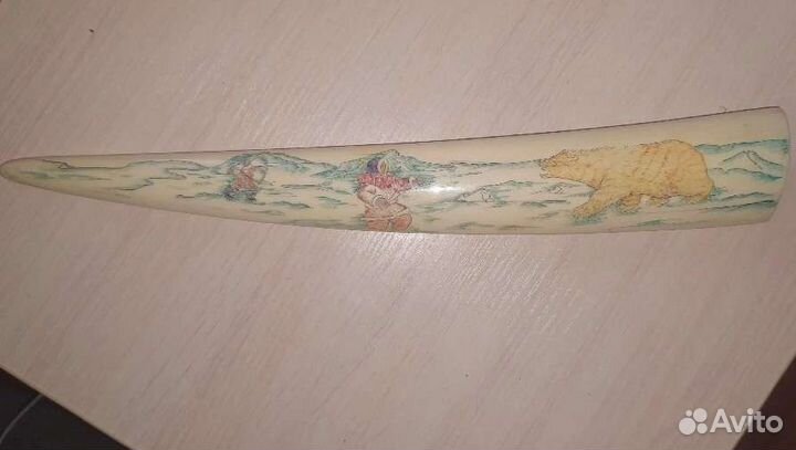 Моржовый бивень