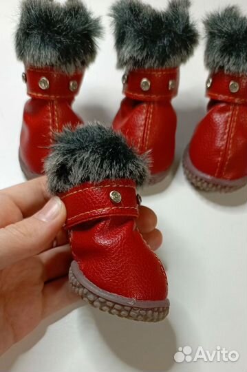 Ботиночки для мелких пород собак