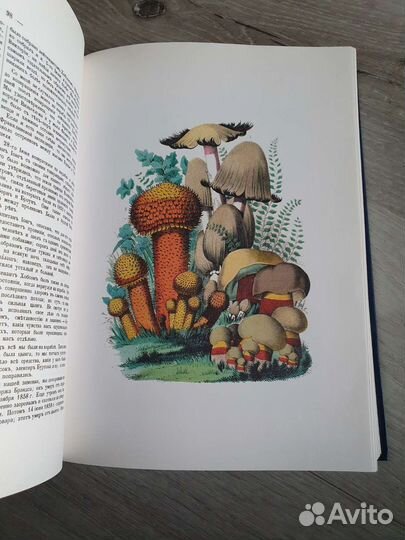 Книга Вокруг света первый том 1961 г