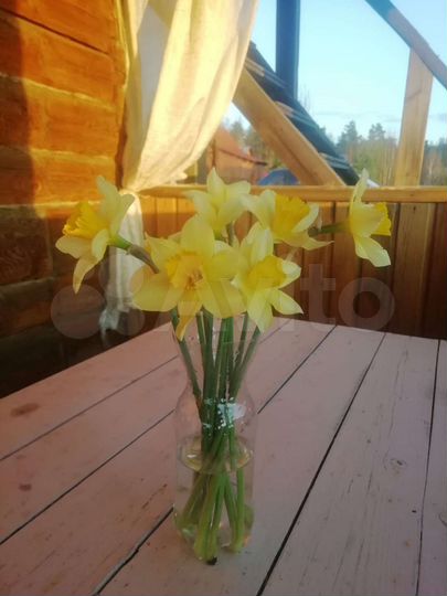 Дача 30 м² на участке 9 сот.