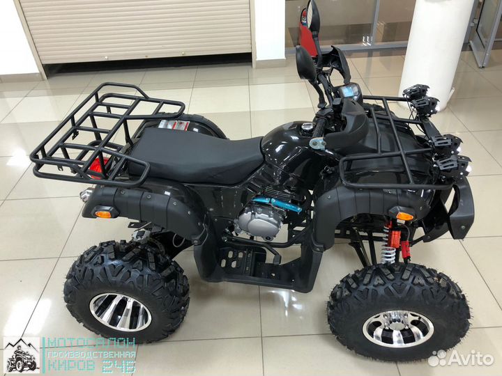 Grizzly 250 cc на цепи