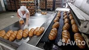 Упаковщик 6,55310143