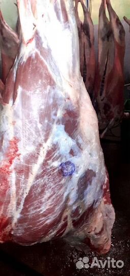 Говядина, мясо быков Коров тушами