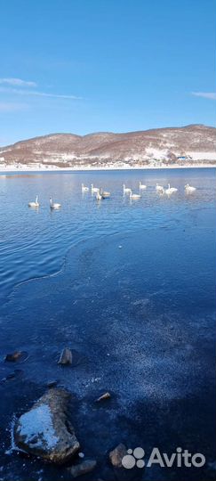 Трансфер, туры