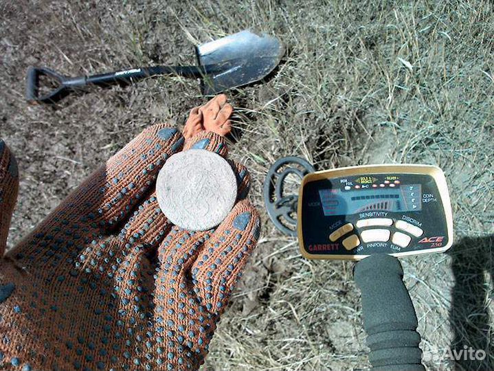 Металлоискатель Garrett Ace 250 в аренду