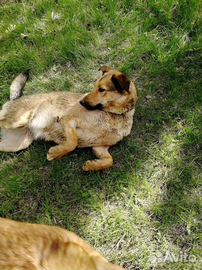 В надёжные руки