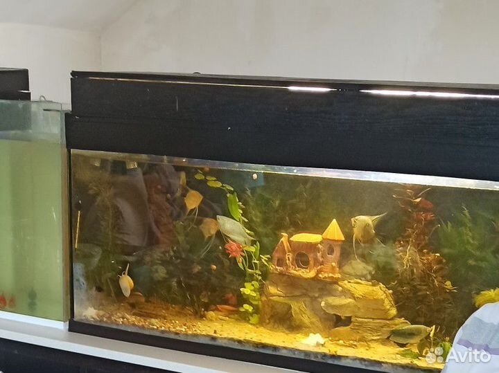 Аквариум