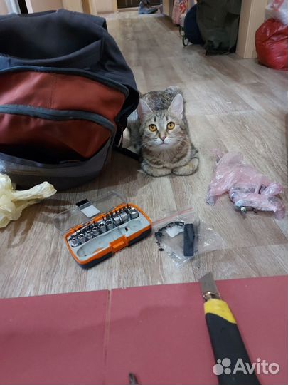 Ремонт стиральных машин / Ремонт духовых шкафов