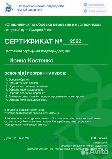 Обрезка деревьев и кустарников профессионально