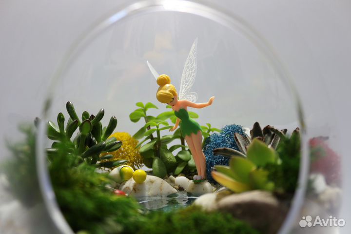 Флорариум/ цветы/ подарки