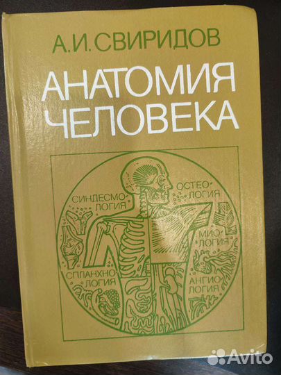 Анатомия человека