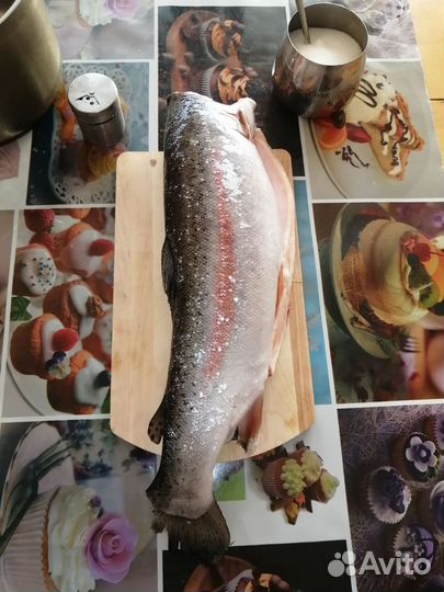 Форель морская