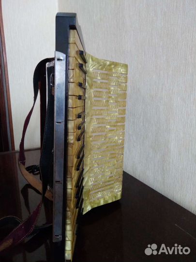 Аккордеон Amico solo