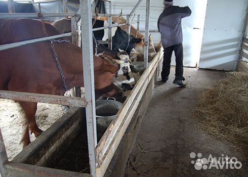 Строительство ферм